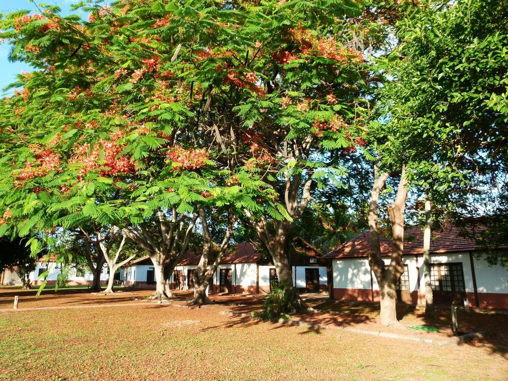Pousada Xaraés Todos os Santos Exterior foto